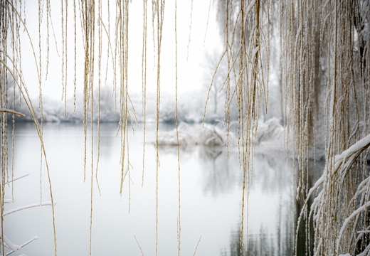 En hiver